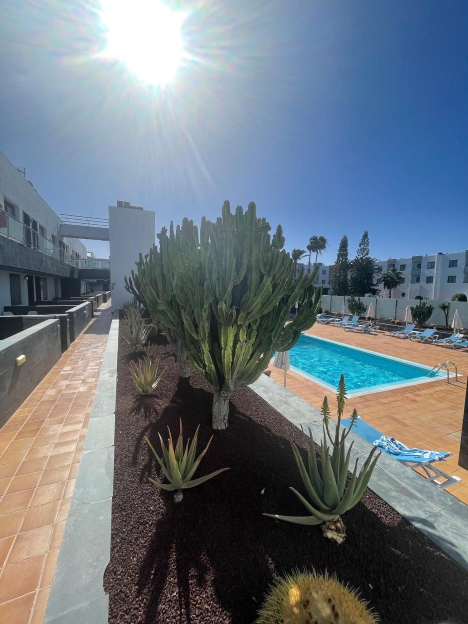 Sunrise Corralejo Daire Dış mekan fotoğraf